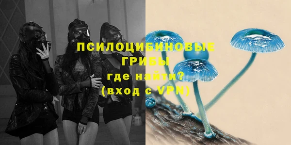 Альфа ПВП Володарск
