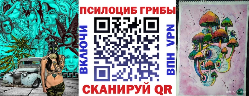 Псилоцибиновые грибы Psilocybe  купить   Нестеровская 