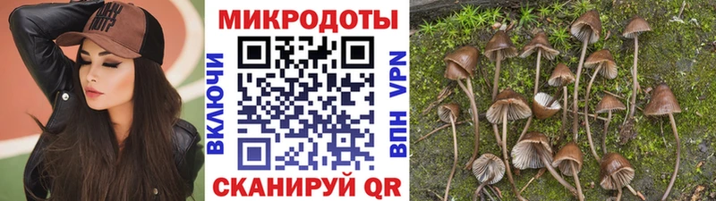 Псилоцибиновые грибы Cubensis Нестеровская